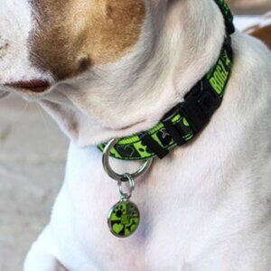 2 Large DOG ID tags engraved